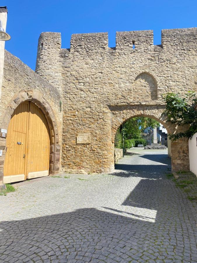 Haeuschen Am Plenzer Villa Ингелхайм ам Рейн Екстериор снимка