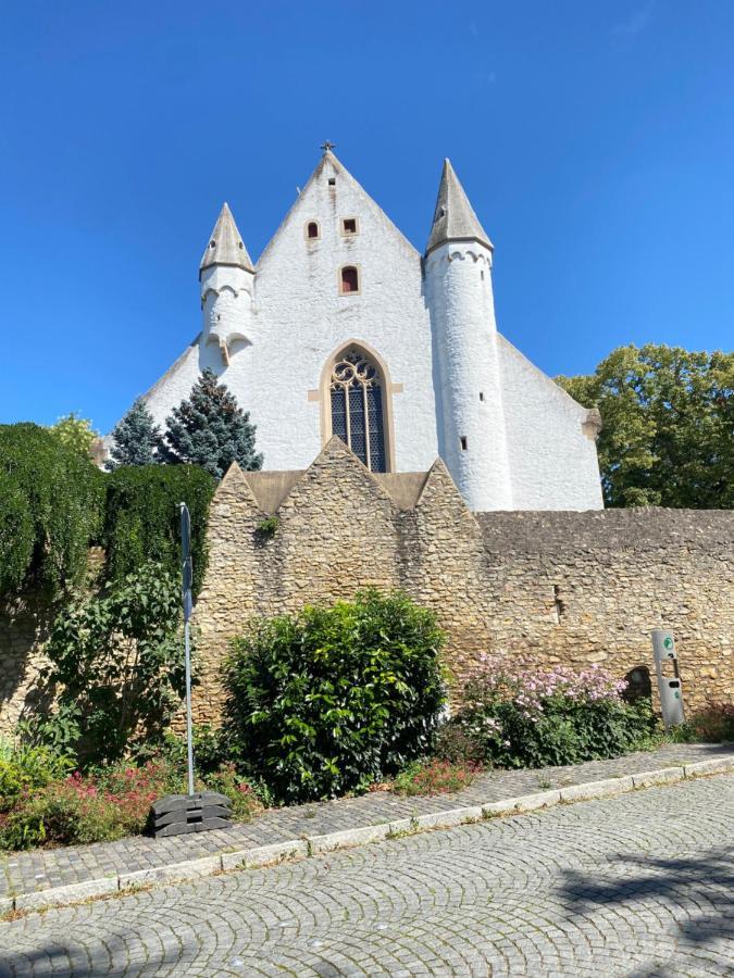 Haeuschen Am Plenzer Villa Ингелхайм ам Рейн Екстериор снимка