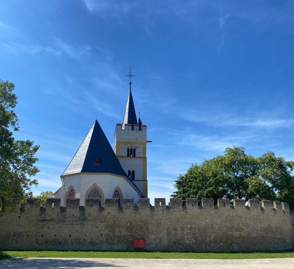 Haeuschen Am Plenzer Villa Ингелхайм ам Рейн Екстериор снимка