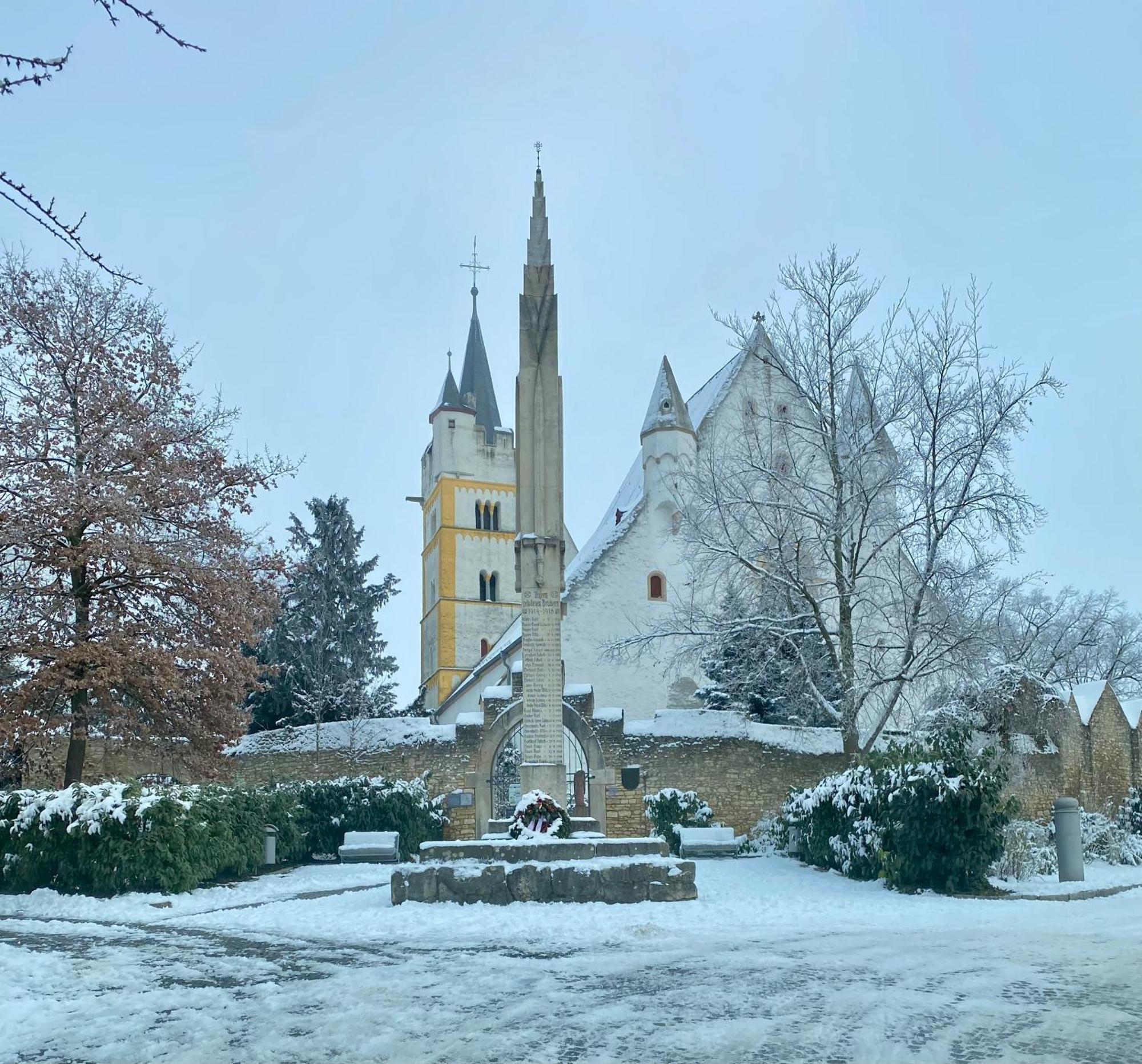 Haeuschen Am Plenzer Villa Ингелхайм ам Рейн Екстериор снимка
