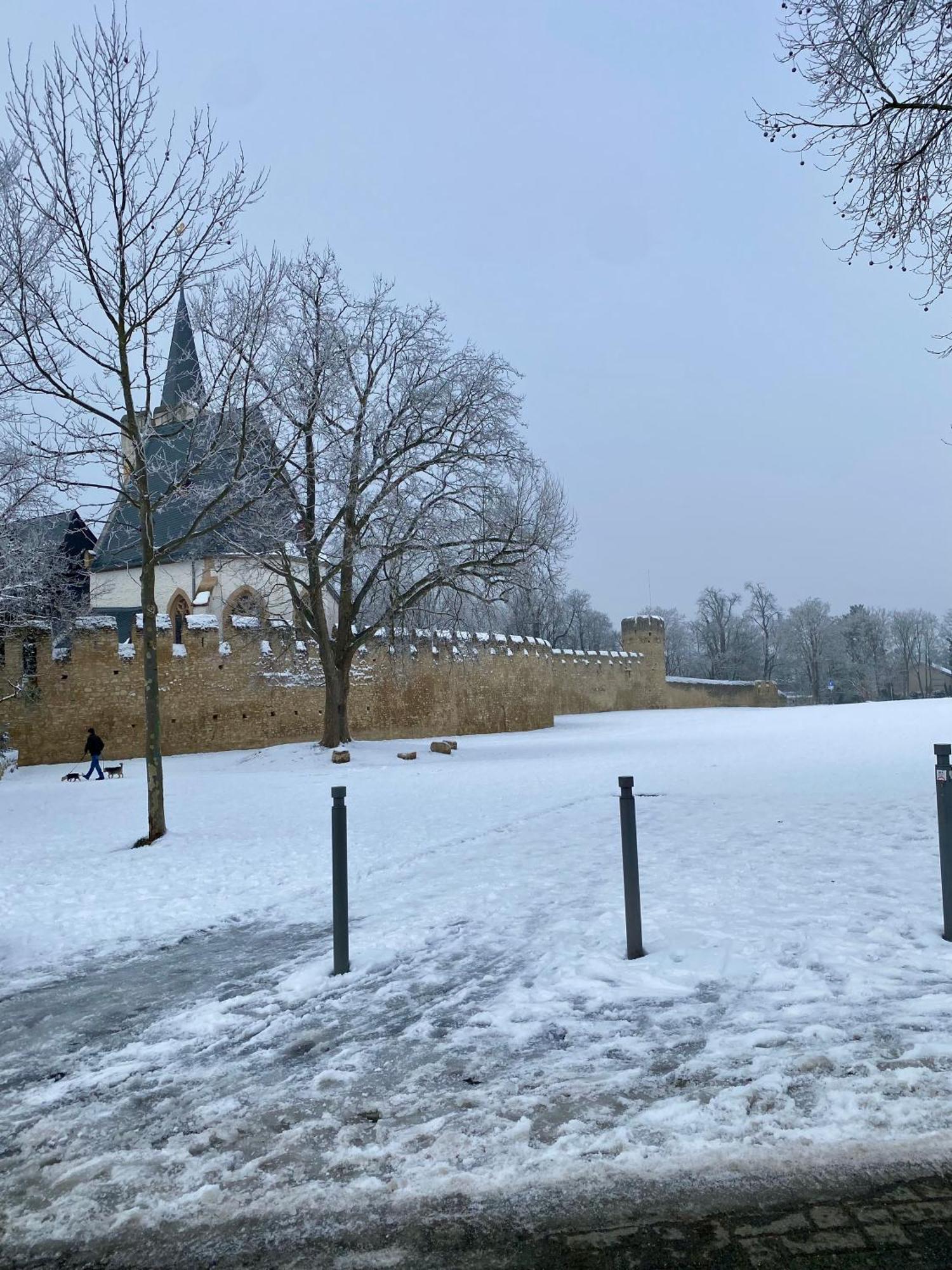 Haeuschen Am Plenzer Villa Ингелхайм ам Рейн Екстериор снимка